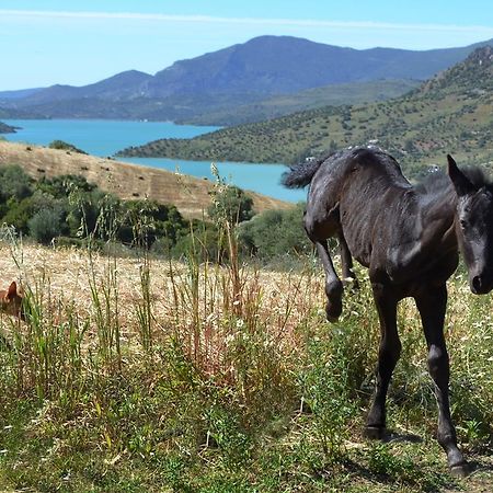 Apartamentos Finca Ranchiles Montecorto Εξωτερικό φωτογραφία